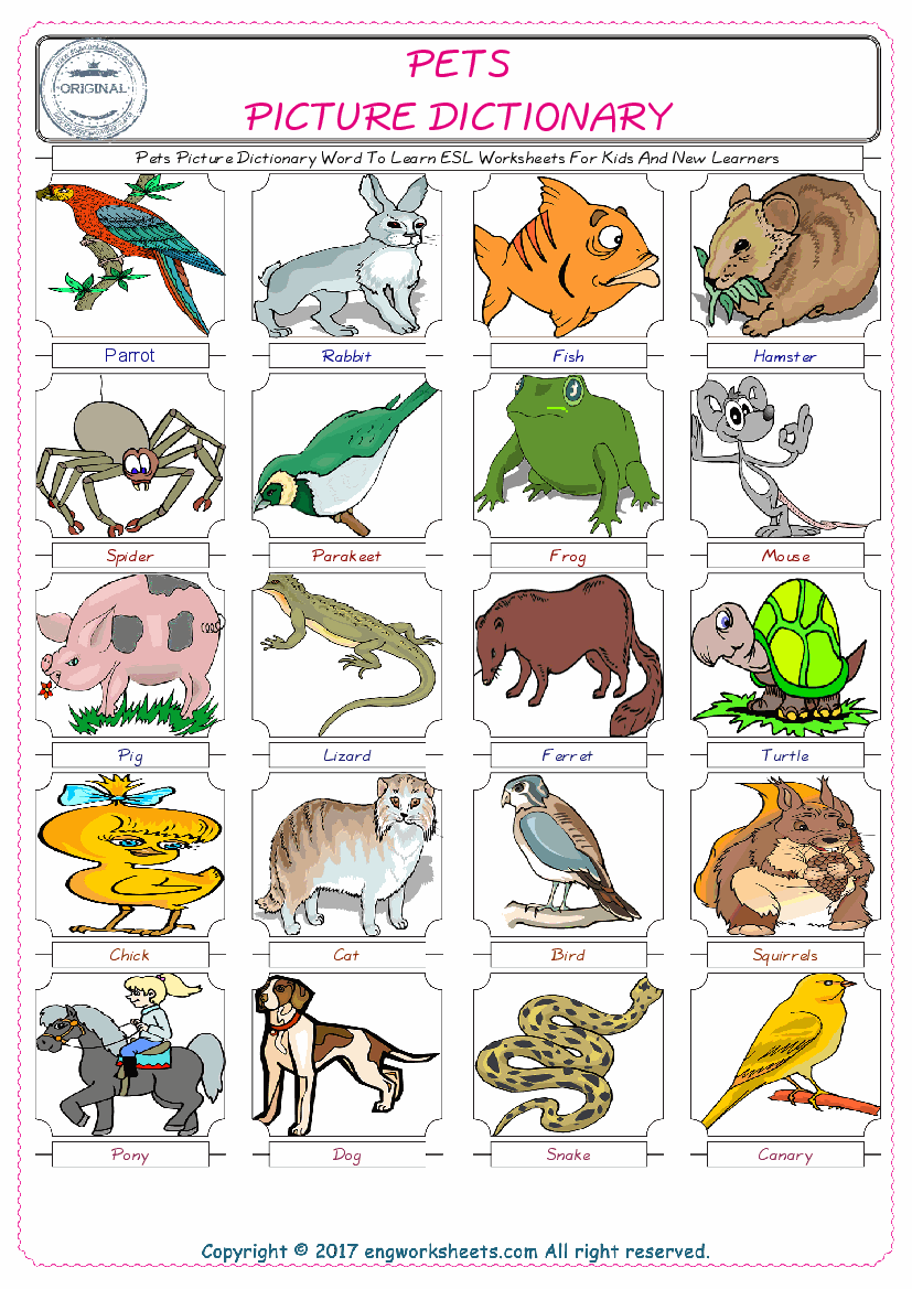 Pets English Worksheet for Kids ESL Printable Picture Dictionary 